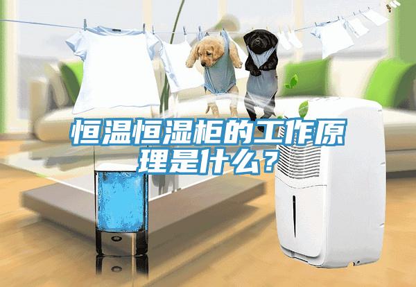 恒溫恒濕柜的工作原理是什么？