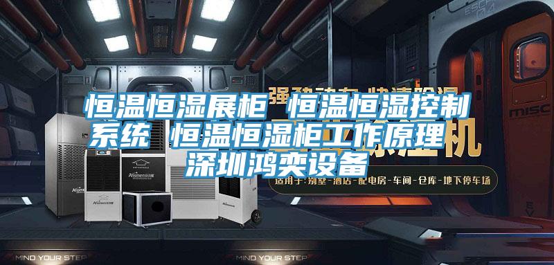 恒溫恒濕展柜 恒溫恒濕控制系統(tǒng) 恒溫恒濕柜工作原理 深圳鴻奕設備