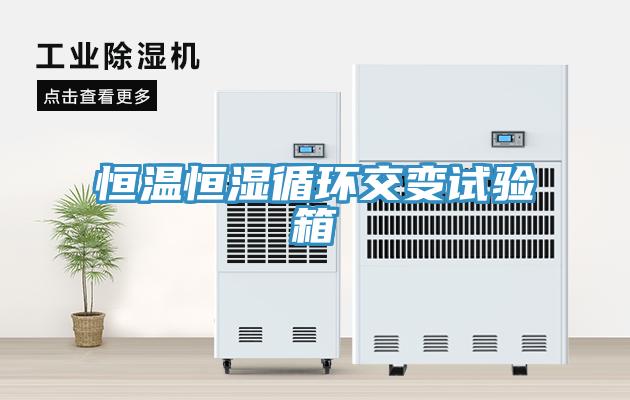 恒溫恒濕循環(huán)交變?cè)囼?yàn)箱