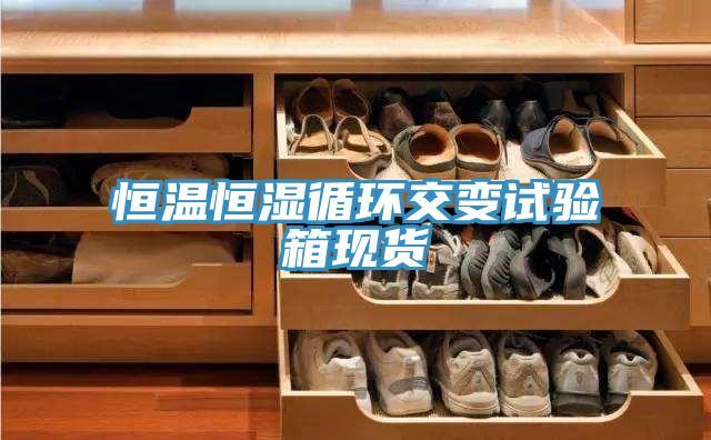 恒溫恒濕循環(huán)交變試驗(yàn)箱現(xiàn)貨