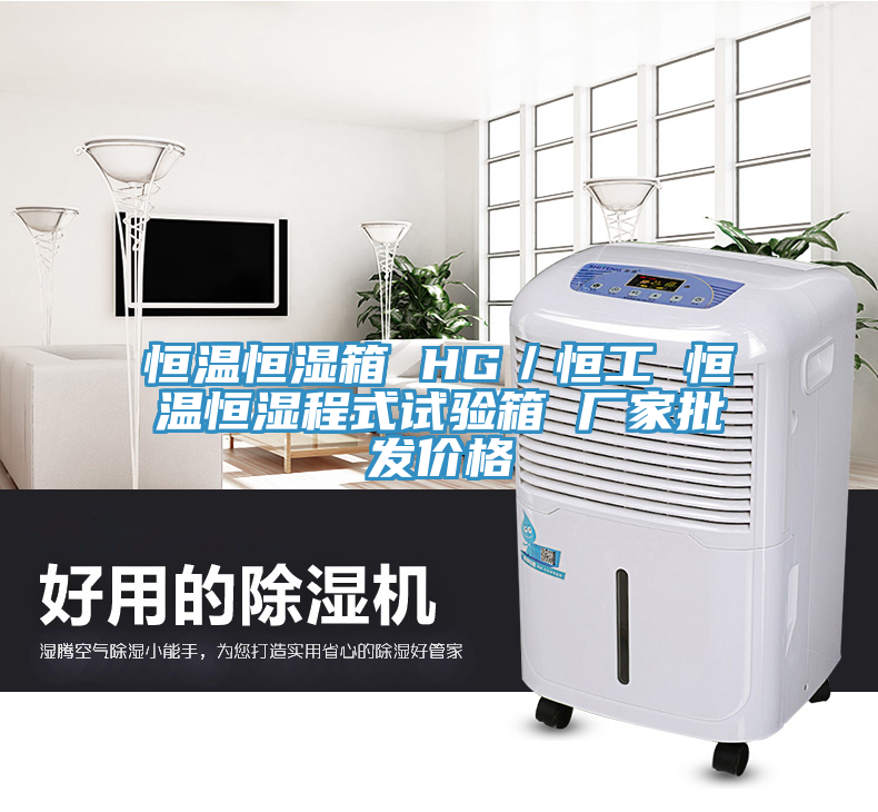 恒溫恒濕箱 HG／恒工 恒溫恒濕程式試驗箱 廠家批發(fā)價格