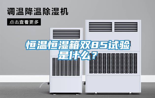 恒溫恒濕箱雙85試驗(yàn)是什么？