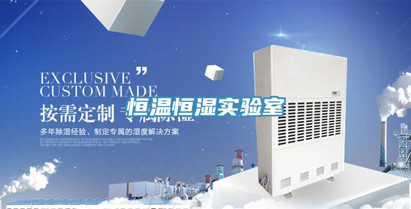 恒溫恒濕實(shí)驗(yàn)室