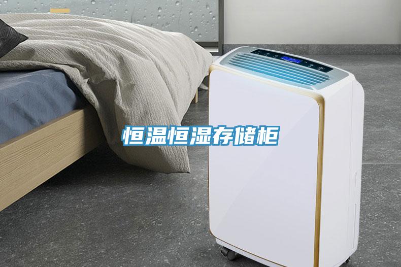 恒溫恒濕存儲(chǔ)柜