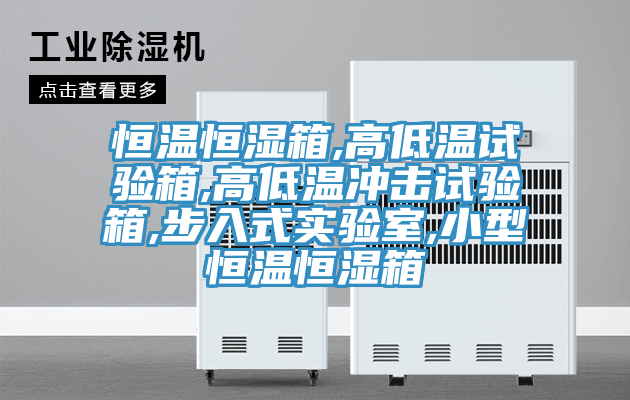 恒溫恒濕箱,高低溫試驗(yàn)箱,高低溫沖擊試驗(yàn)箱,步入式實(shí)驗(yàn)室,小型恒溫恒濕箱