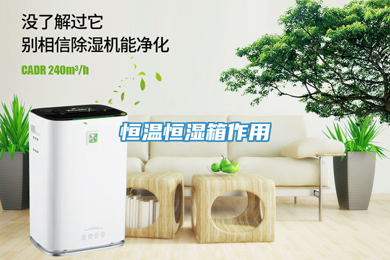 恒溫恒濕箱作用