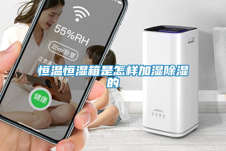 恒溫恒濕箱是怎樣加濕除濕的