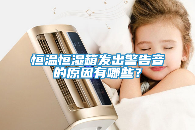 恒溫恒濕箱發(fā)出警告音的原因有哪些？