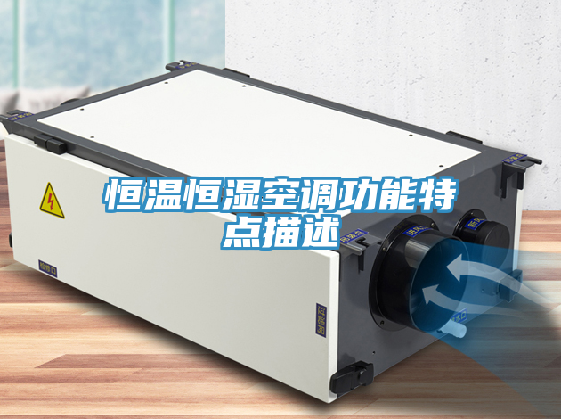 恒溫恒濕空調(diào)功能特點(diǎn)描述