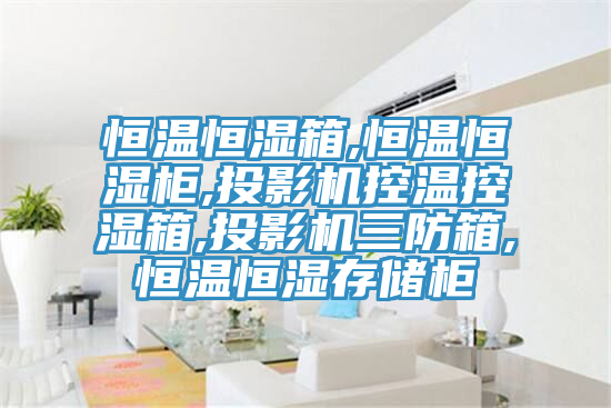 恒溫恒濕箱,恒溫恒濕柜,投影機(jī)控溫控濕箱,投影機(jī)三防箱,恒溫恒濕存儲(chǔ)柜
