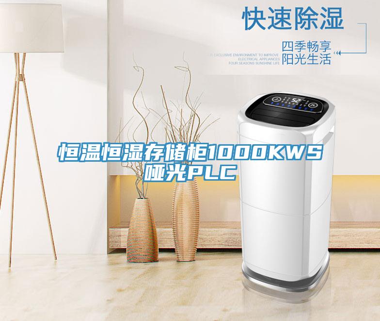 恒溫恒濕存儲(chǔ)柜1000KWS啞光PLC