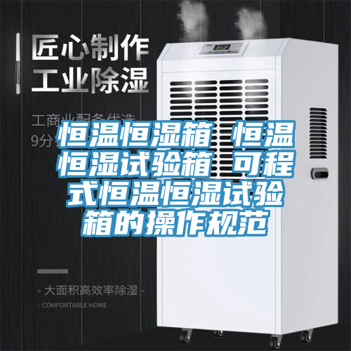 恒溫恒濕箱 恒溫恒濕試驗箱 可程式恒溫恒濕試驗箱的操作規(guī)范