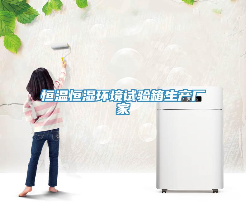 恒溫恒濕環(huán)境試驗(yàn)箱生產(chǎn)廠家