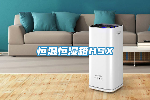 恒溫恒濕箱HSX