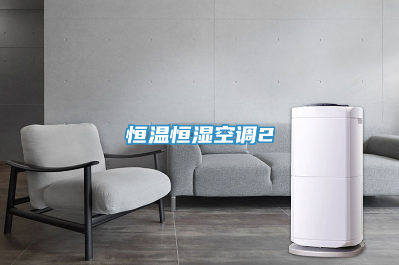 恒溫恒濕空調(diào)2