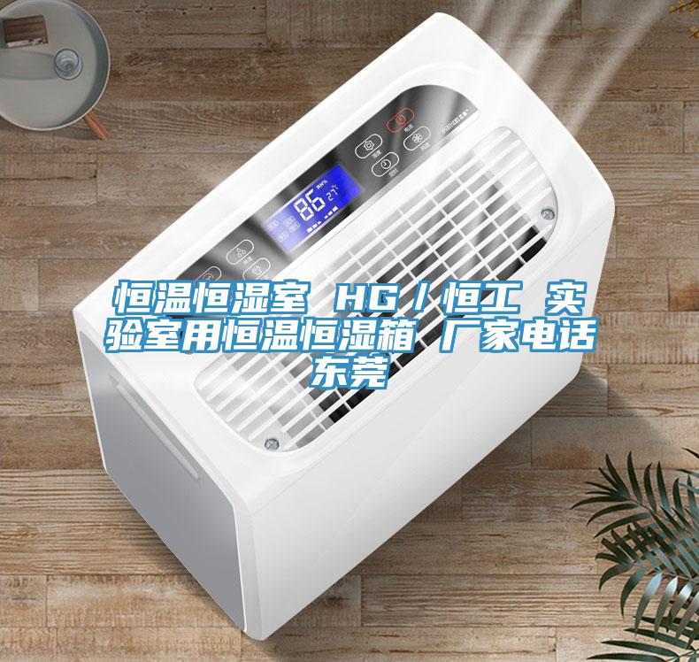 恒溫恒濕室 HG／恒工 實(shí)驗(yàn)室用恒溫恒濕箱 廠家電話東莞