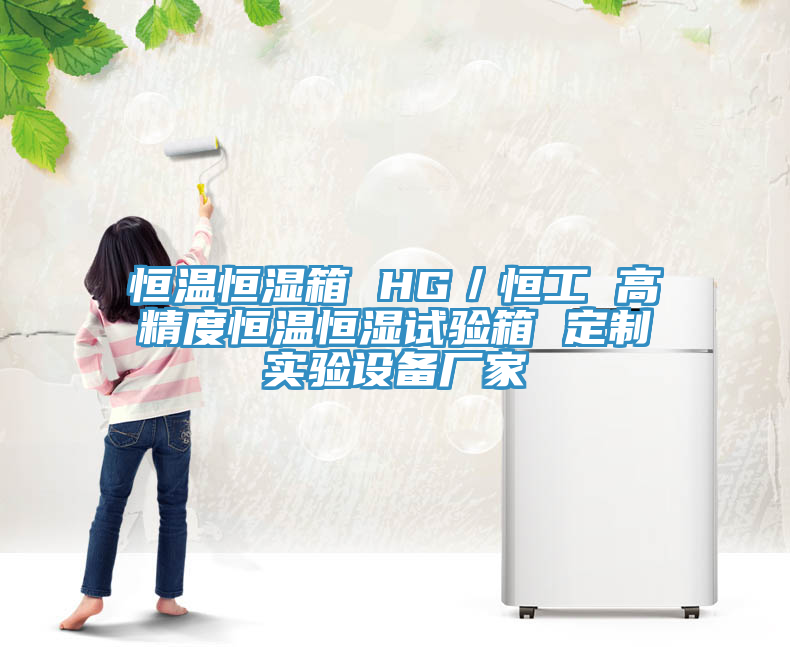 恒溫恒濕箱 HG／恒工 高精度恒溫恒濕試驗箱 定制實驗設(shè)備廠家
