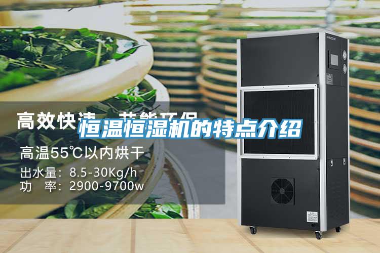 恒溫恒濕機(jī)的特點(diǎn)介紹