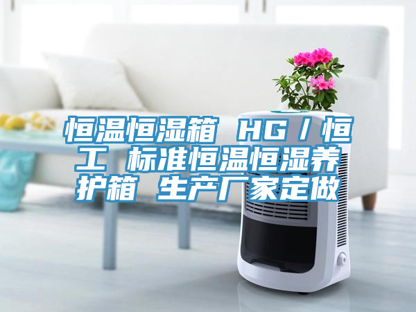 恒溫恒濕箱 HG／恒工 標準恒溫恒濕養(yǎng)護箱 生產(chǎn)廠家定做