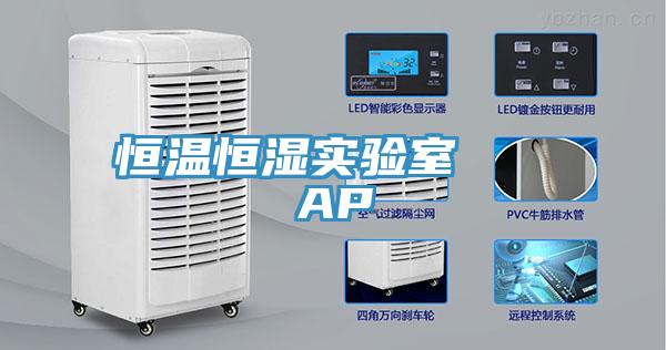 恒溫恒濕實(shí)驗(yàn)室   AP