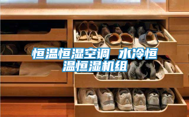 恒溫恒濕空調(diào) 水冷恒溫恒濕機組