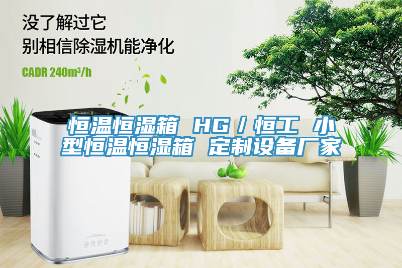 恒溫恒濕箱 HG／恒工 小型恒溫恒濕箱 定制設(shè)備廠家