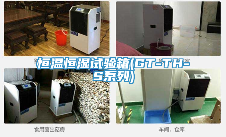 恒溫恒濕試驗(yàn)箱(GT-TH-S系列)
