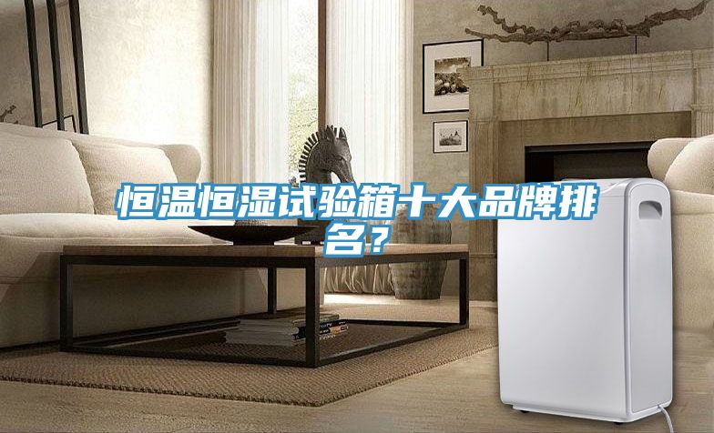 恒溫恒濕試驗(yàn)箱十大品牌排名？