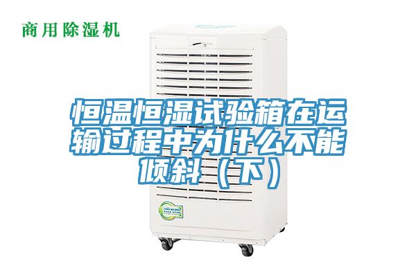 恒溫恒濕試驗箱在運(yùn)輸過程中為什么不能傾斜（下）