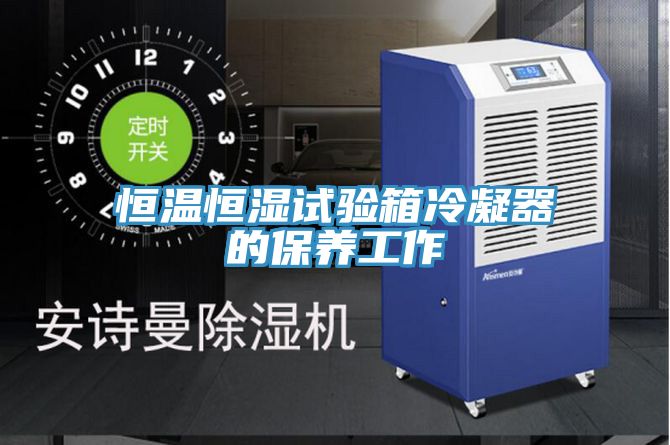 恒溫恒濕試驗(yàn)箱冷凝器的保養(yǎng)工作