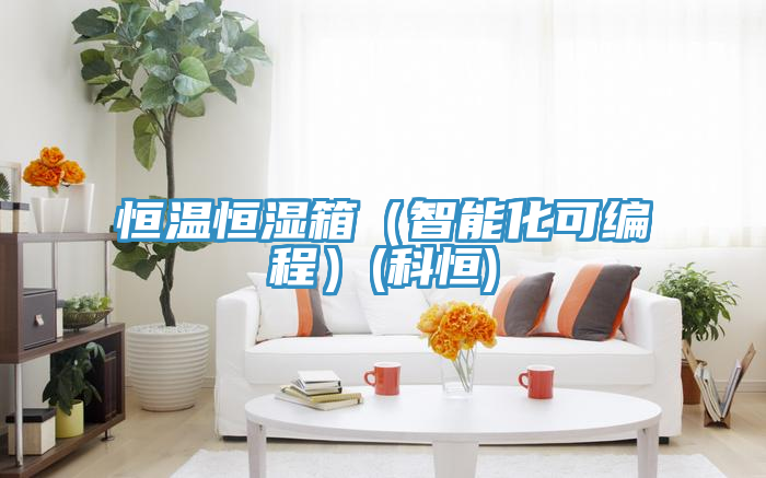 恒溫恒濕箱（智能化可編程）(科恒)