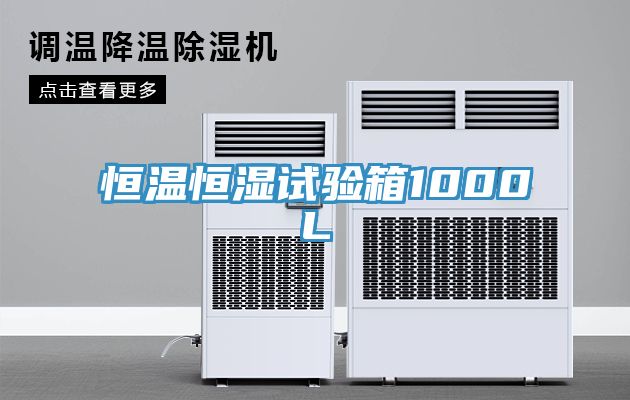 恒溫恒濕試驗箱1000L