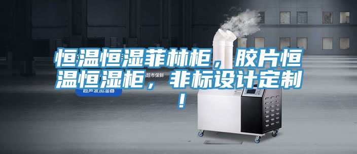 恒溫恒濕菲林柜，膠片恒溫恒濕柜，非標(biāo)設(shè)計定制！