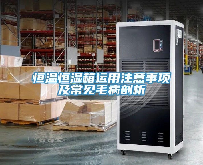 恒溫恒濕箱運用注意事項及常見毛病剖析