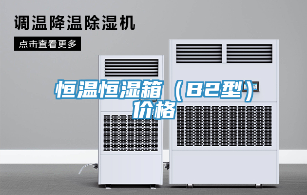 恒溫恒濕箱（B2型）價格