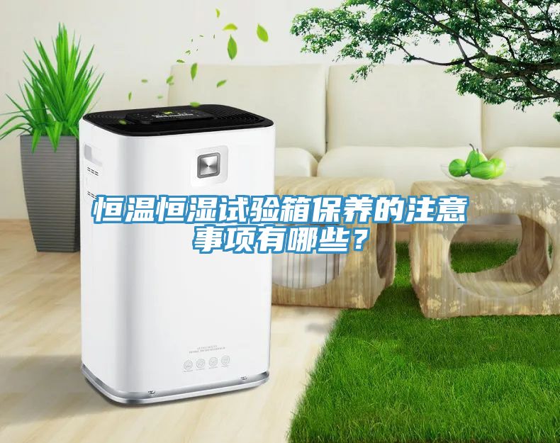 恒溫恒濕試驗箱保養(yǎng)的注意事項有哪些？
