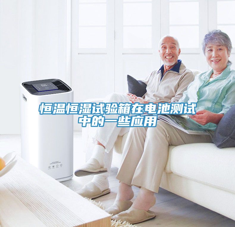 恒溫恒濕試驗箱在電池測試中的一些應(yīng)用