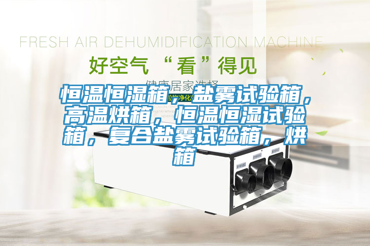 恒溫恒濕箱，鹽霧試驗箱，高溫烘箱，恒溫恒濕試驗箱，復(fù)合鹽霧試驗箱，烘箱