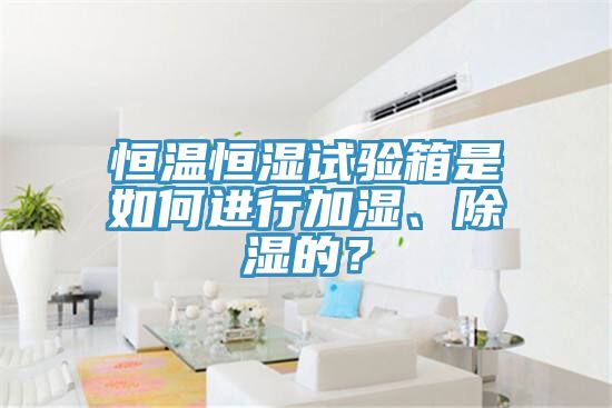 恒溫恒濕試驗箱是如何進(jìn)行加濕、除濕的？