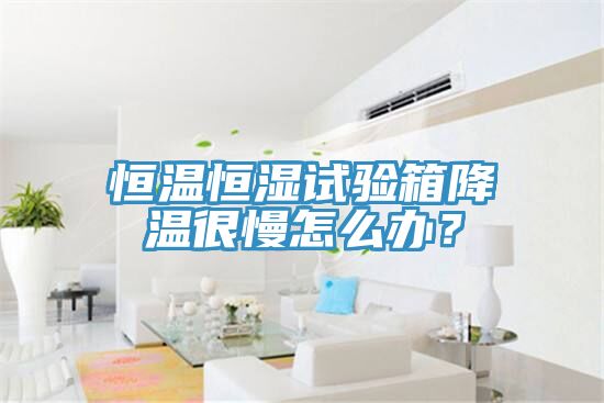 恒溫恒濕試驗(yàn)箱降溫很慢怎么辦？
