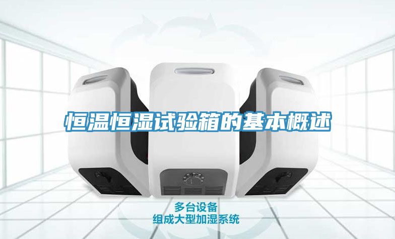 恒溫恒濕試驗(yàn)箱的基本概述