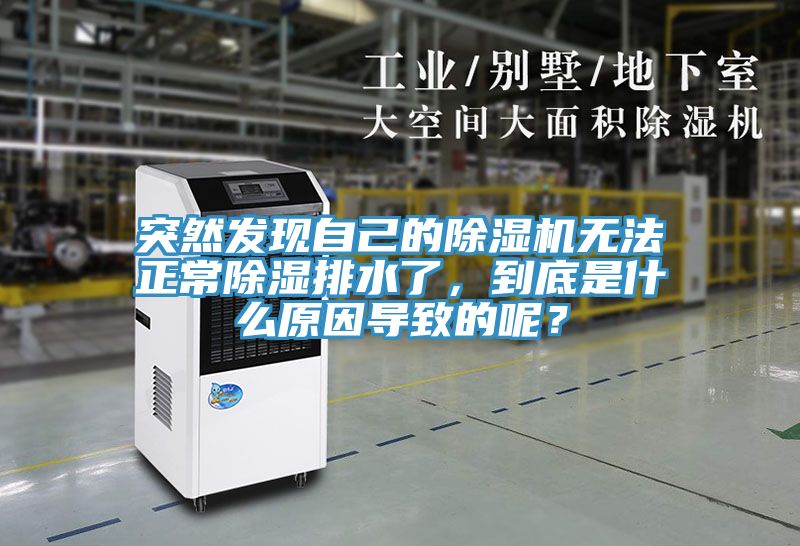 突然發(fā)現(xiàn)自己的除濕機(jī)無法正常除濕排水了，到底是什么原因?qū)е碌哪兀?></div>
								<div   id=