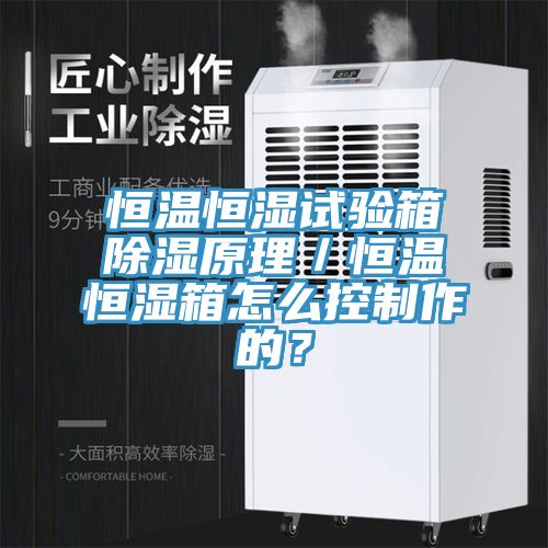 恒溫恒濕試驗(yàn)箱除濕原理／恒溫恒濕箱怎么控制作的？