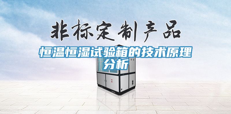 恒溫恒濕試驗箱的技術(shù)原理分析