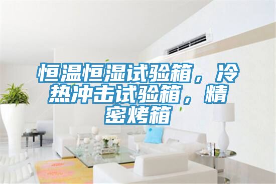 恒溫恒濕試驗箱，冷熱沖擊試驗箱，精密烤箱