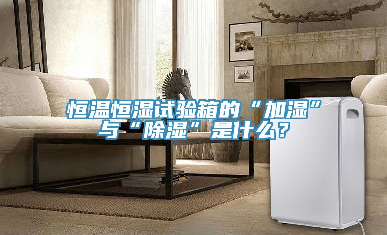 恒溫恒濕試驗(yàn)箱的“加濕”與“除濕”是什么？