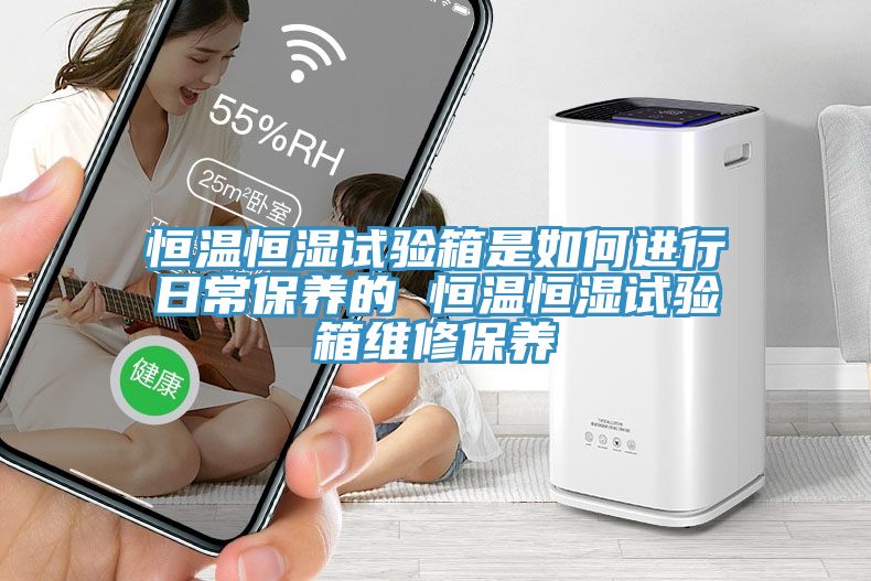 恒溫恒濕試驗箱是如何進(jìn)行日常保養(yǎng)的 恒溫恒濕試驗箱維修保養(yǎng)