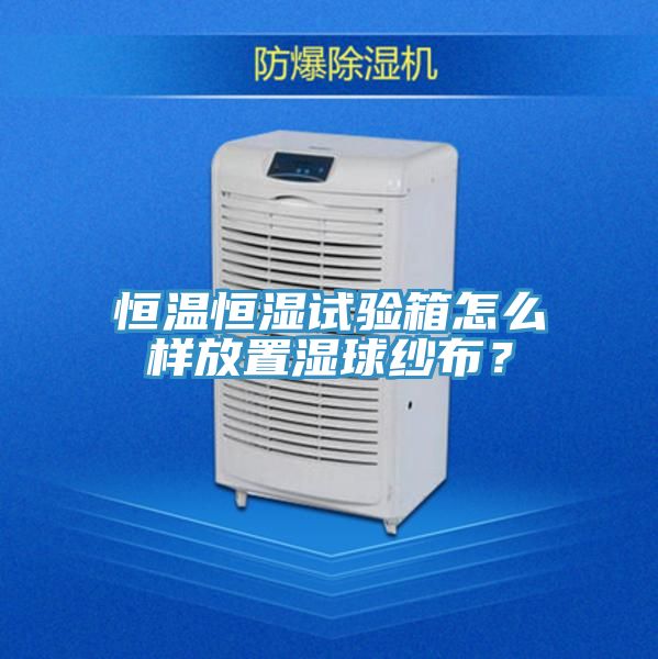 恒溫恒濕試驗箱怎么樣放置濕球紗布？