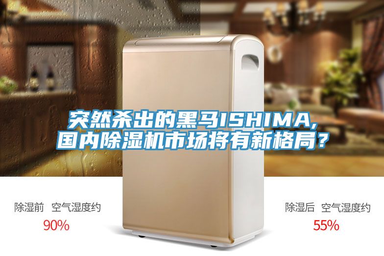 突然殺出的黑馬ISHIMA,國內(nèi)除濕機(jī)市場將有新格局？