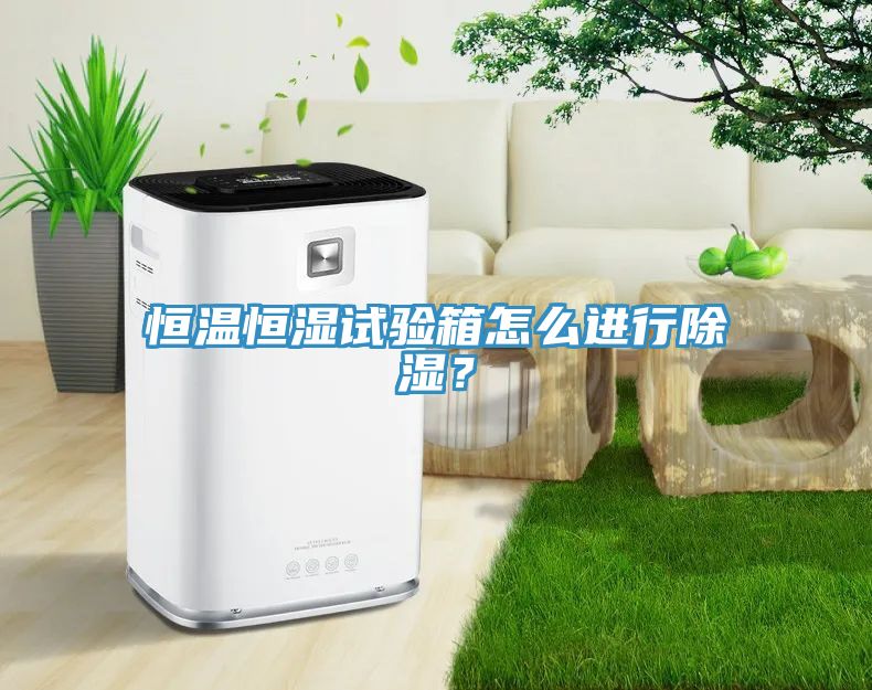 恒溫恒濕試驗箱怎么進行除濕？